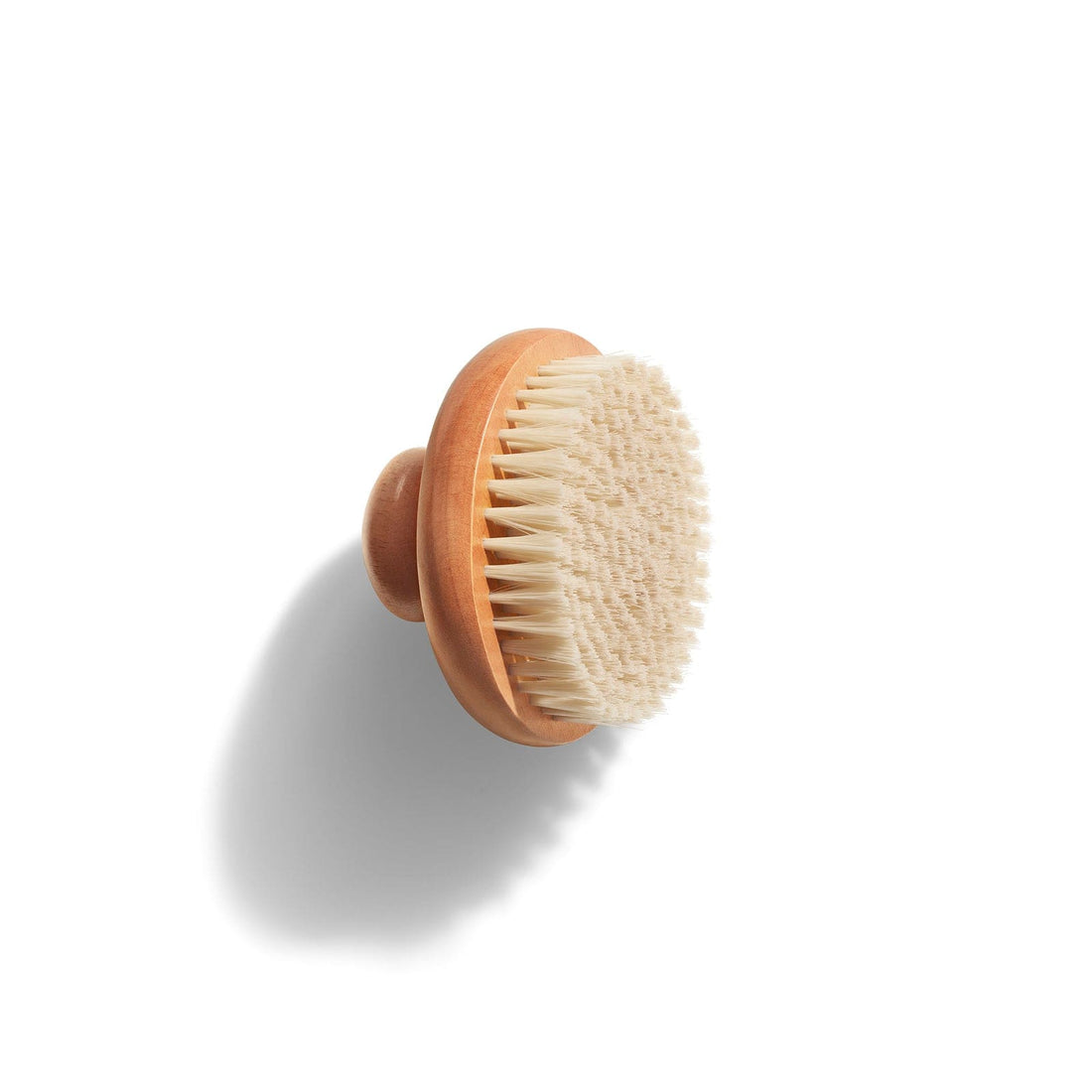 Dry Body Brush picture